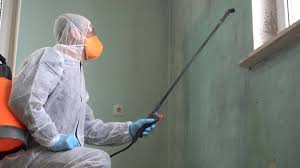 Professional Mold Remediation in Peoria, IL